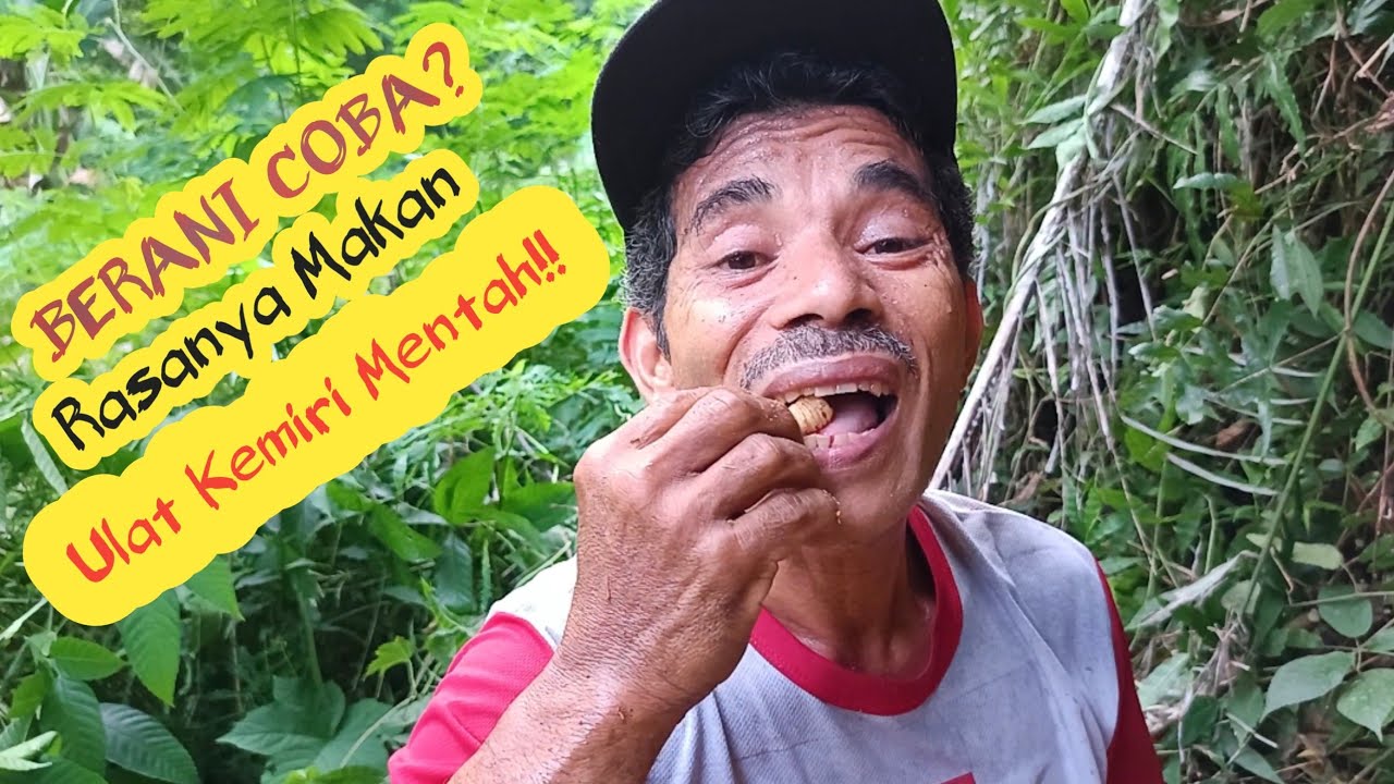 BERANI COBA? Rasanya Makan Ulat Kemiri Mentah!!