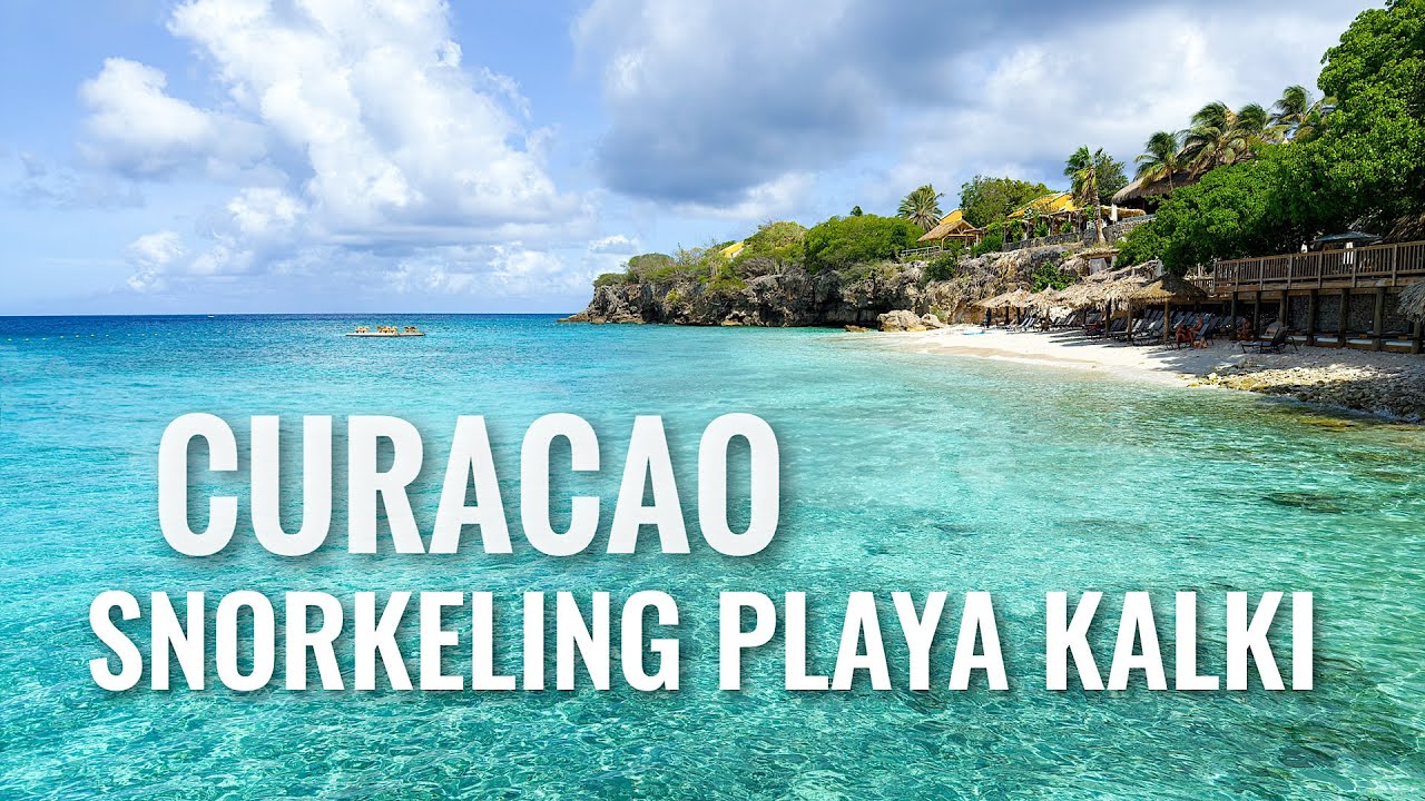 CURACAO Snorkeling Playa Kalki - Alice in Wonderland [4K]