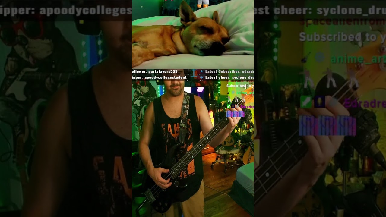 Vulfpeck Sauna bass cover Such a chill #jam #bass #groove #funk