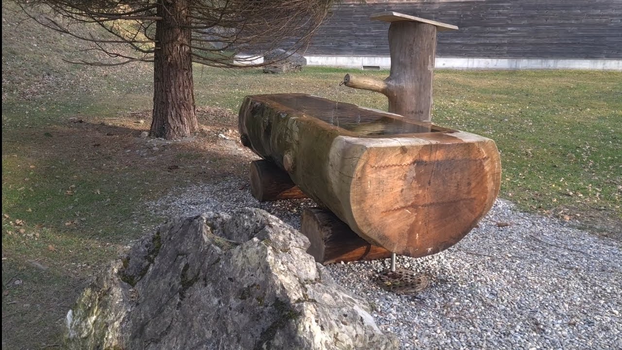 📍Forest Spring Water 💧 Natural Sounds, Pure Nature Relaxation | 3 Minutes
