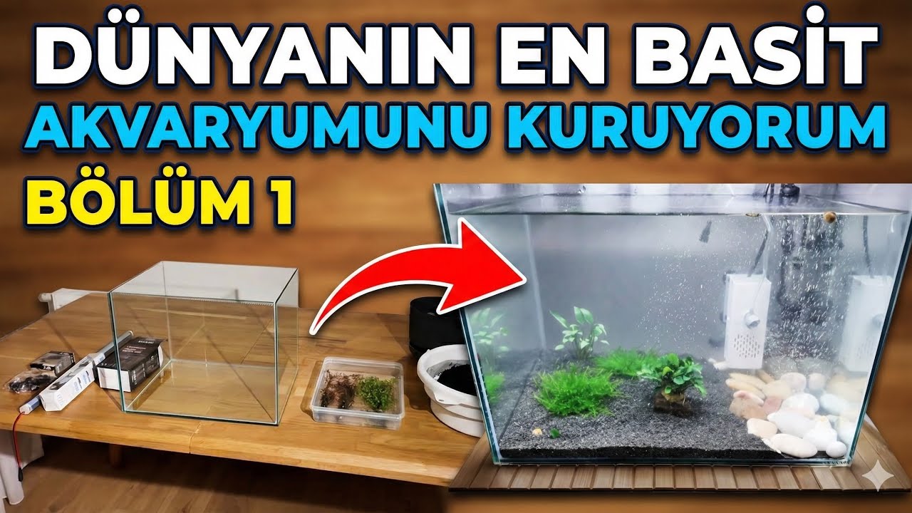 YENİ BAŞLAYANLAR İÇİN AKVARYUM KURULUMU! (EN BASİT YÖNTEM) BÖLÜM 1