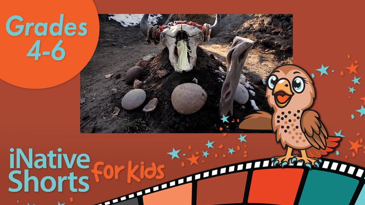 Our Voice, Our Identity | Across the Creek | iNative Shorts for Kids