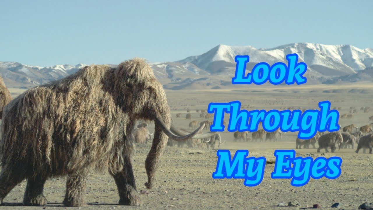 Look Through My Eyes (from Brother Bear) Prehistoric Planet: Ice Age (season 3)🎄🎬🎞🦣🐅🦥