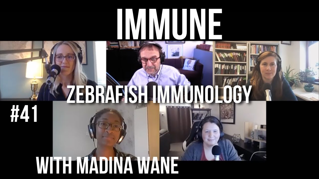 Immune 41: Zebrafish immunology with Madina Wane