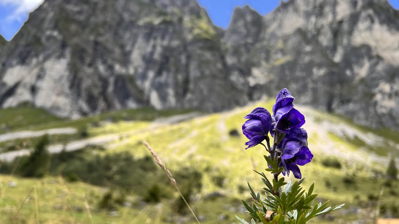 Der Juwelenweg in Pfronten - Allgäu Tag 2 - Wanderung mit Kindern