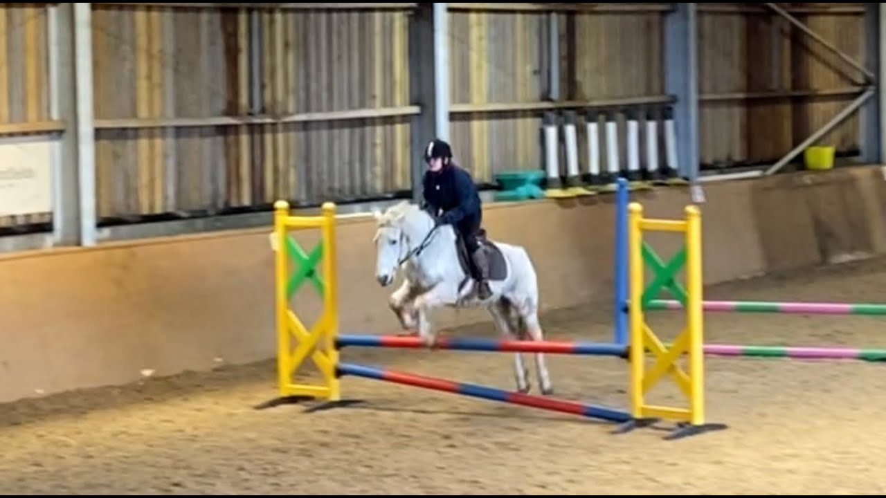 Jumping Laddie & Louie | Moor Farm Stables