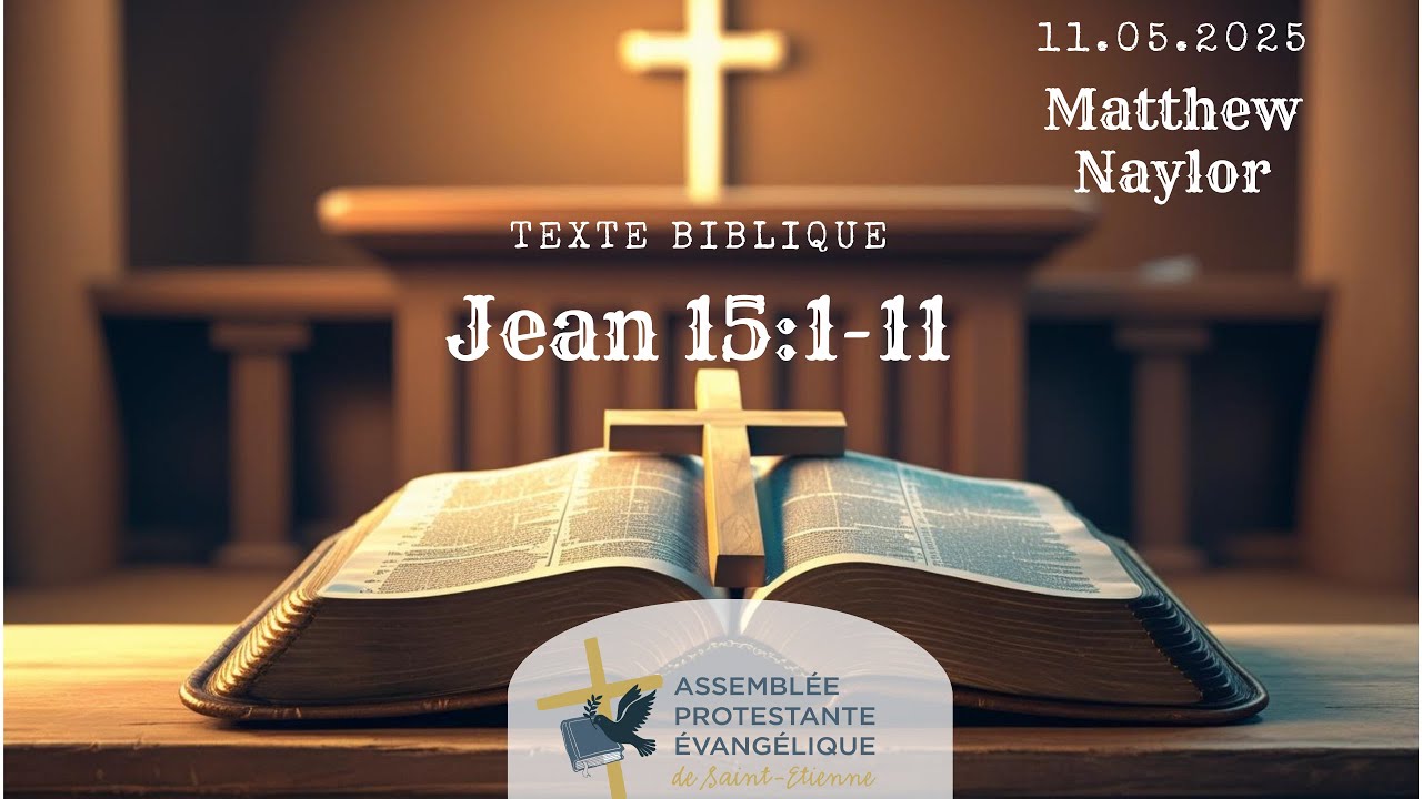 Jean Chapitre 15 versets 1 à 11