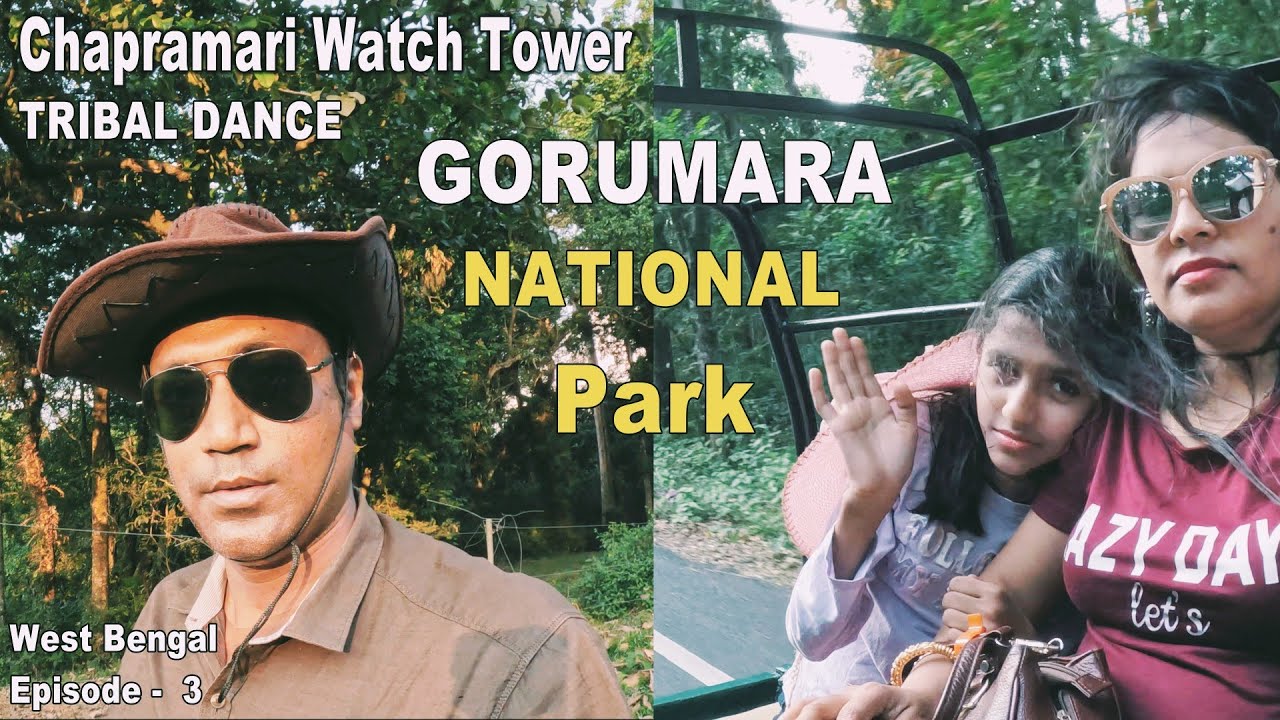 CHAPRAMARI Watch Tower |Jeep Safari & Tribal Dance |Gorumara National Park|West Bengal Tour Episode3