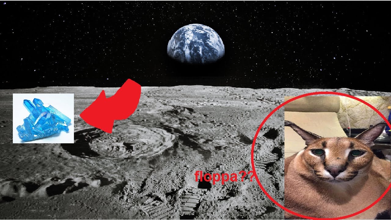 going to the moon in raise a floppa on roblox (ft. meth)