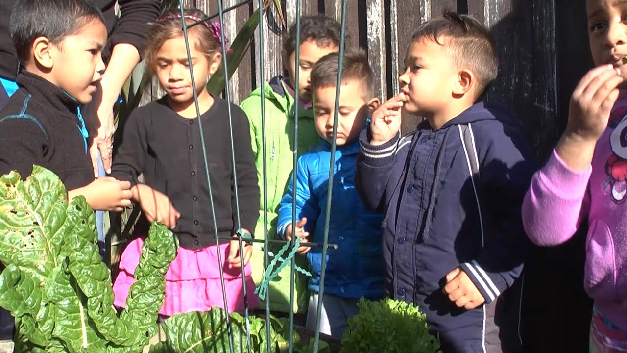 Manaakitanga and Whanaungatanga in Action at Yendarra Kindergarten