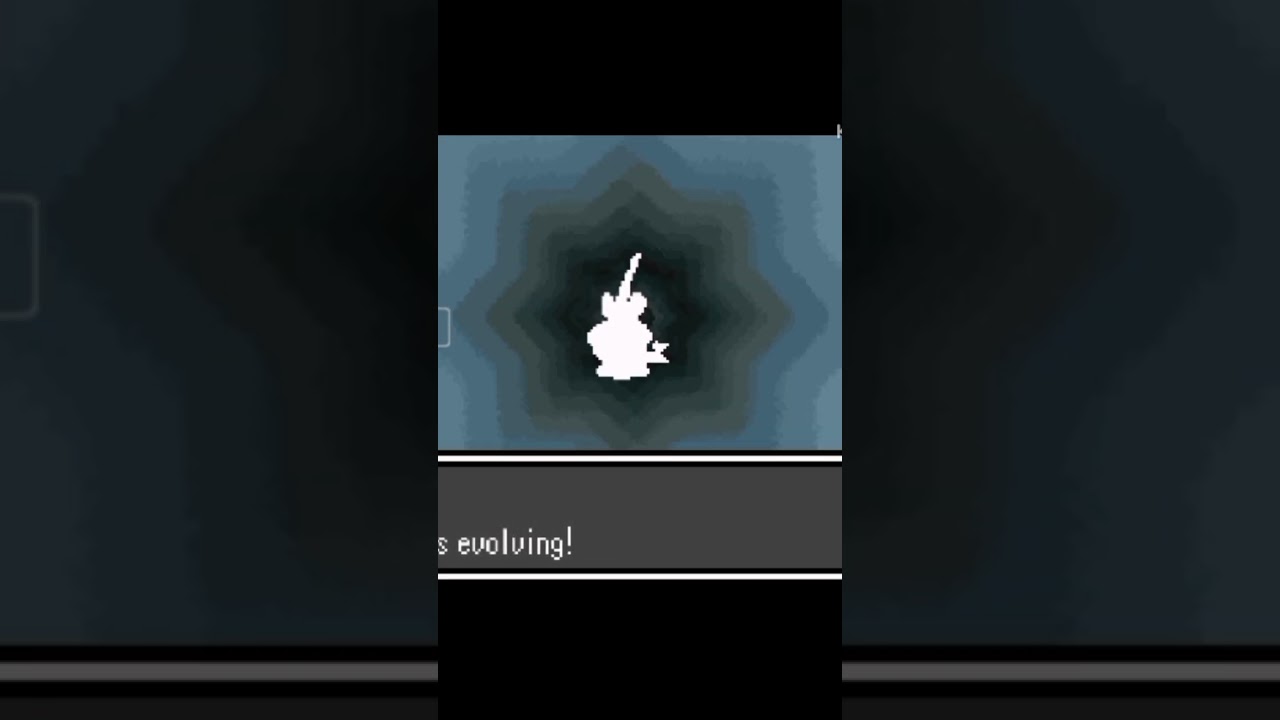 DIP evolve into Dipplin