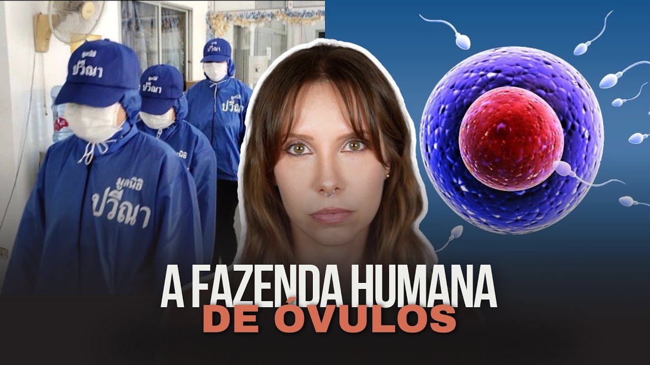 Elas foram traficadas para terem seus óvulos roubados