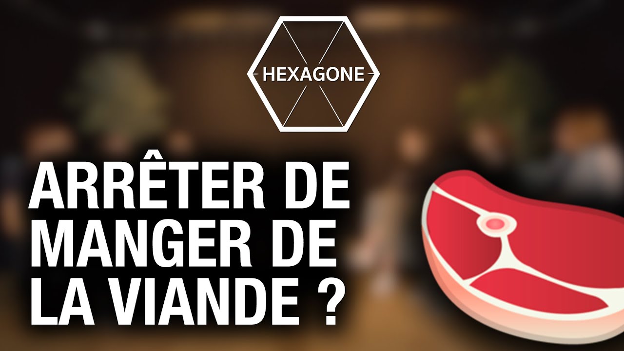 VÉGÉTARIENS vs VÉGANS vs CARNISTES - Débat - Hexagone #2
