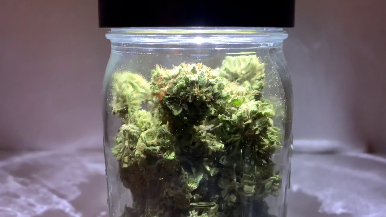 Mason Brite Wide Mouth Mason Jar Lid