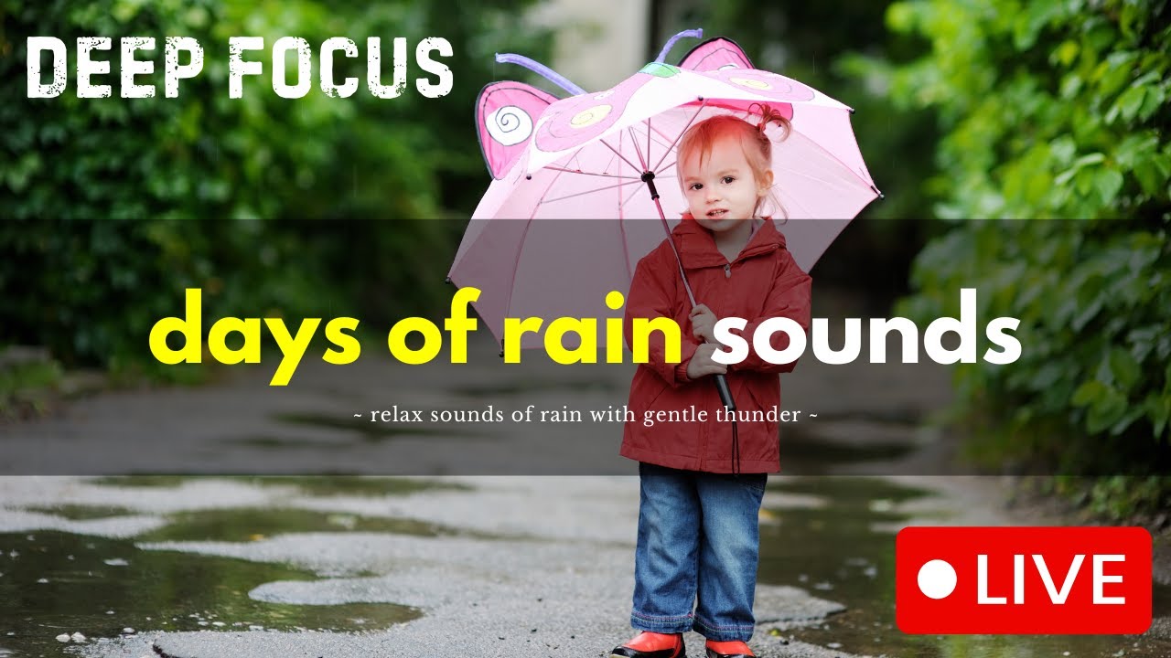 🔴 Daily Rain with Thunder 🌧️ Relaxing Nature Sounds ~ relax / deep focus / sleep