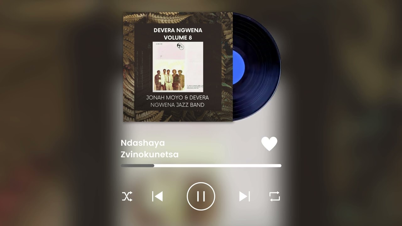 Ndashaya Zvinokunetsa [Audio Visuals]
