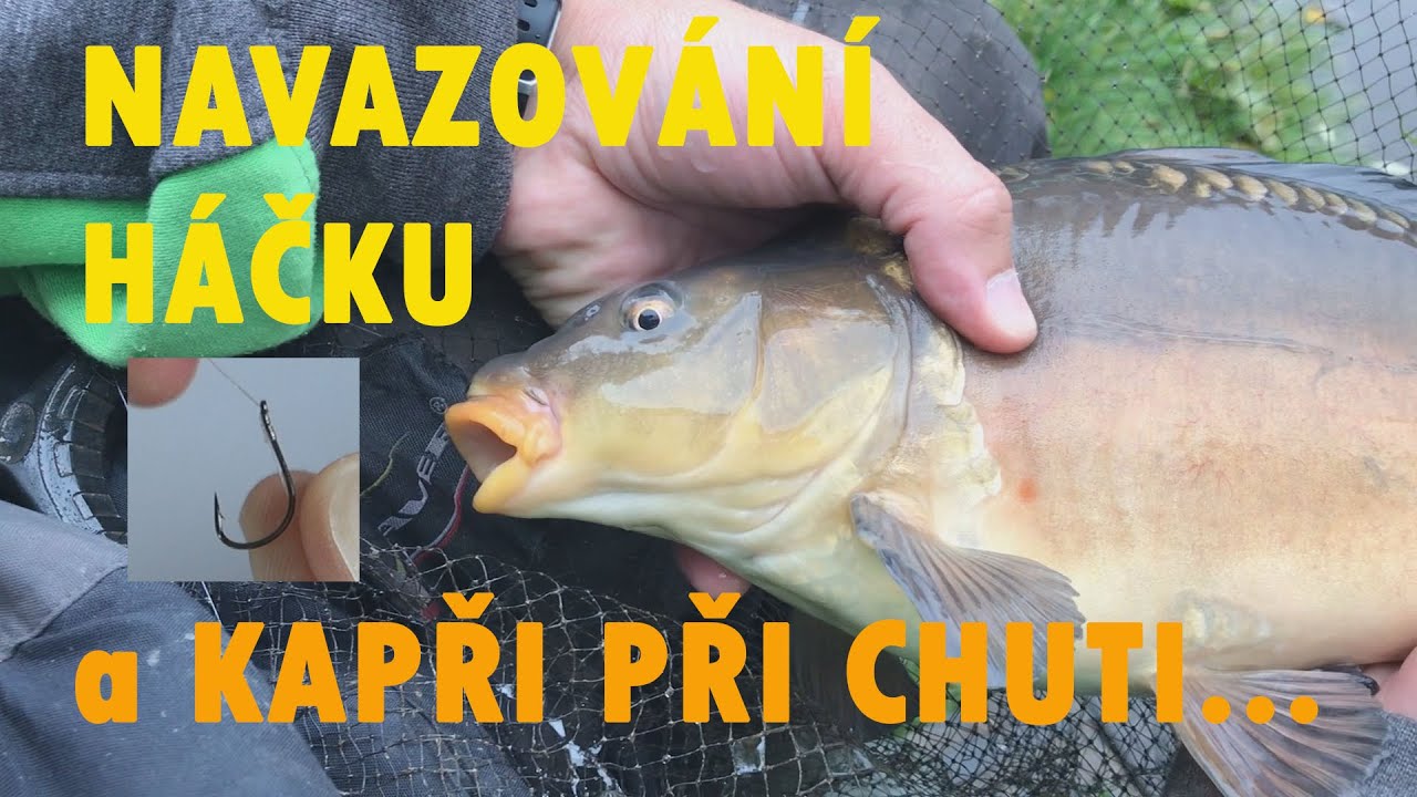 Navazování háčků do forpasovníků (1.díl ze seriálu Můj feeder)