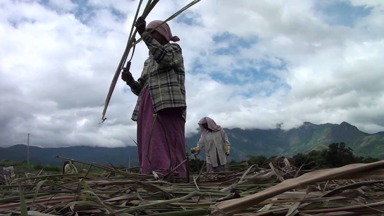 Documentary - Marayoor
