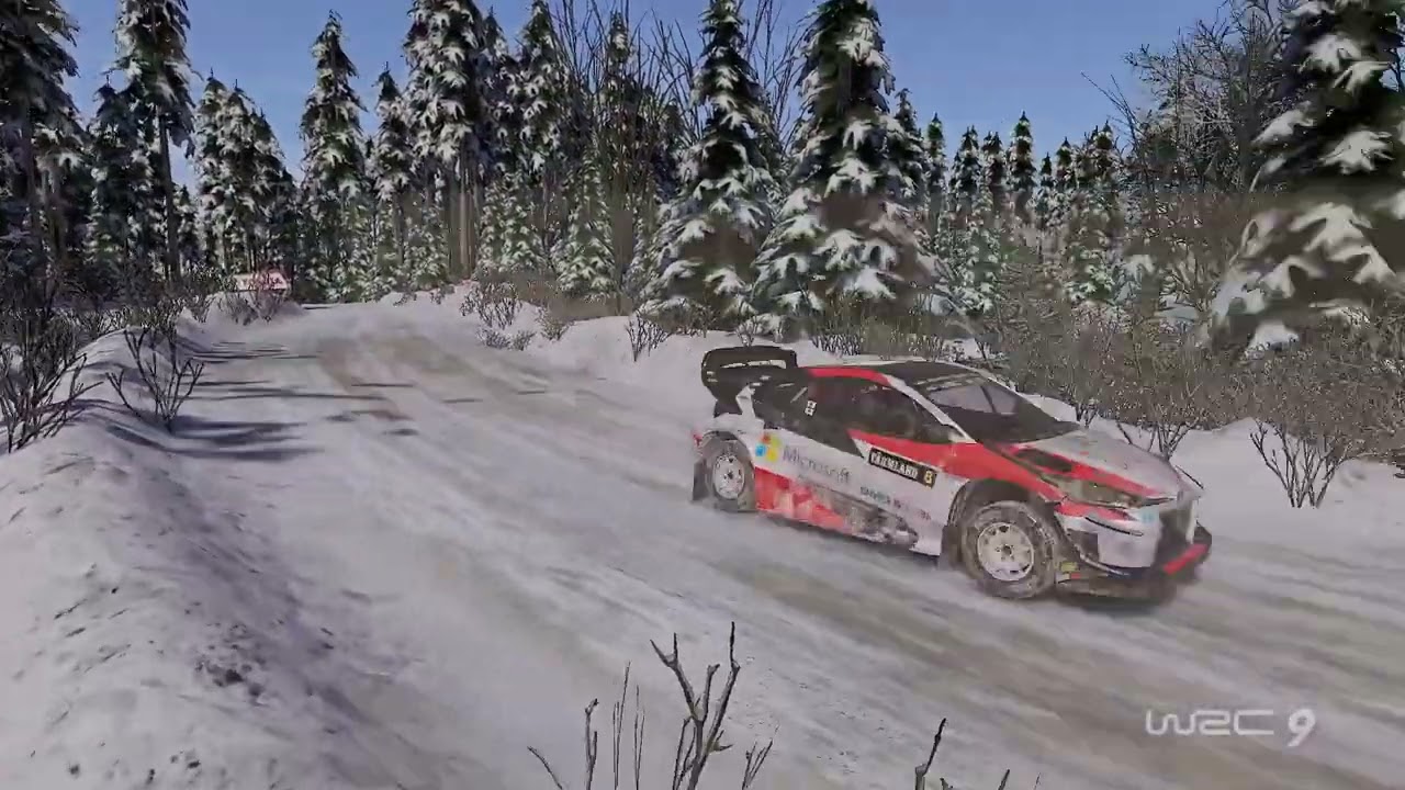 【WRC9】 スウェーデン Torsby　〖ThrustmasterT598〗vol.2