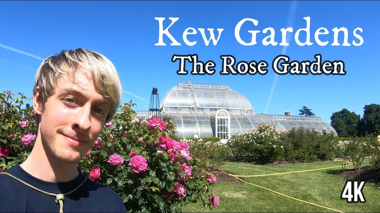 Kew Gardens - The Rose Garden (4K)