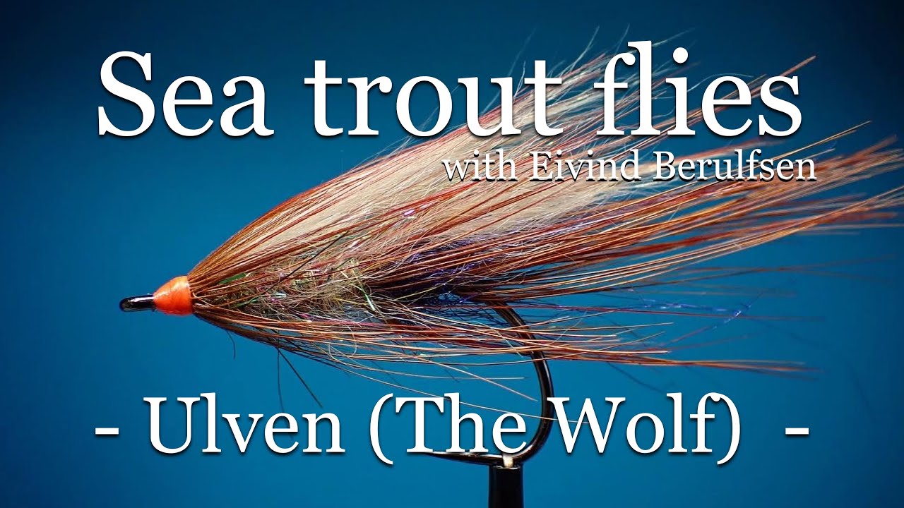 Sea trout flies. Ulven (The Wolf). Fly tying with Eivind Berulfsen.
