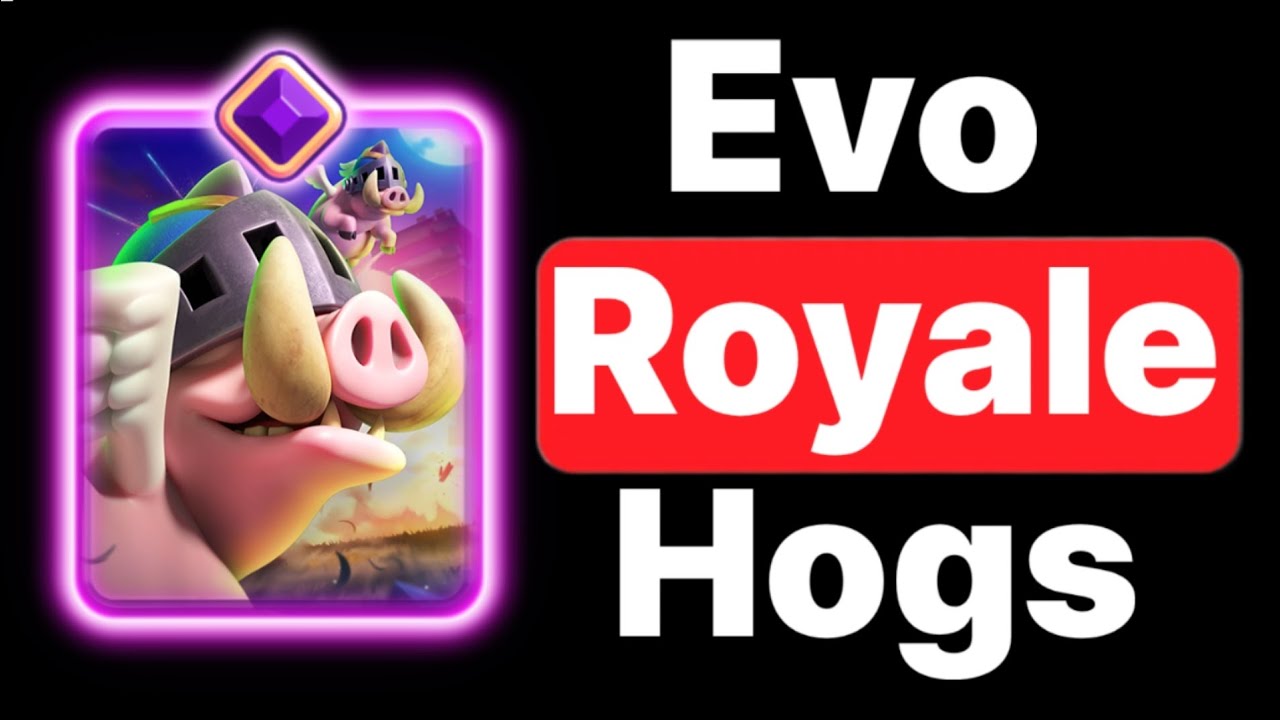 4 BEST Evo Royal Hogs Decks In Clash Royale