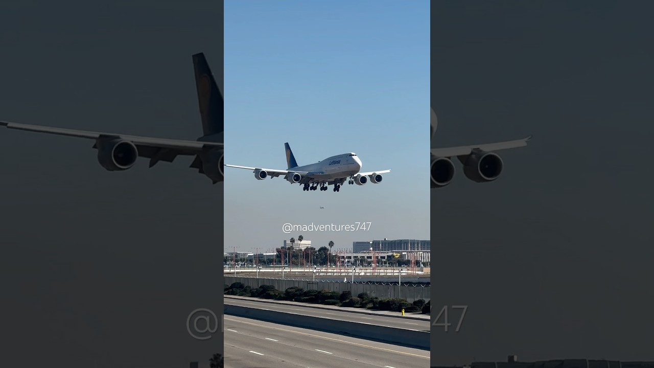 Lufthansa 747 landing #planespotting #aviation #planelanding #lufthansa #747 #lax