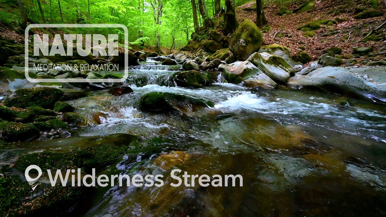Nature Meditation & Relaxation