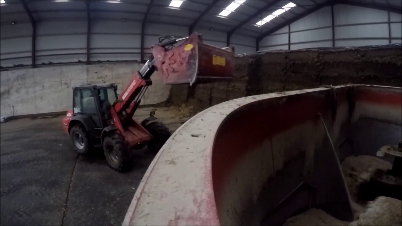 Feeding Cattle-February 2018-GoPro