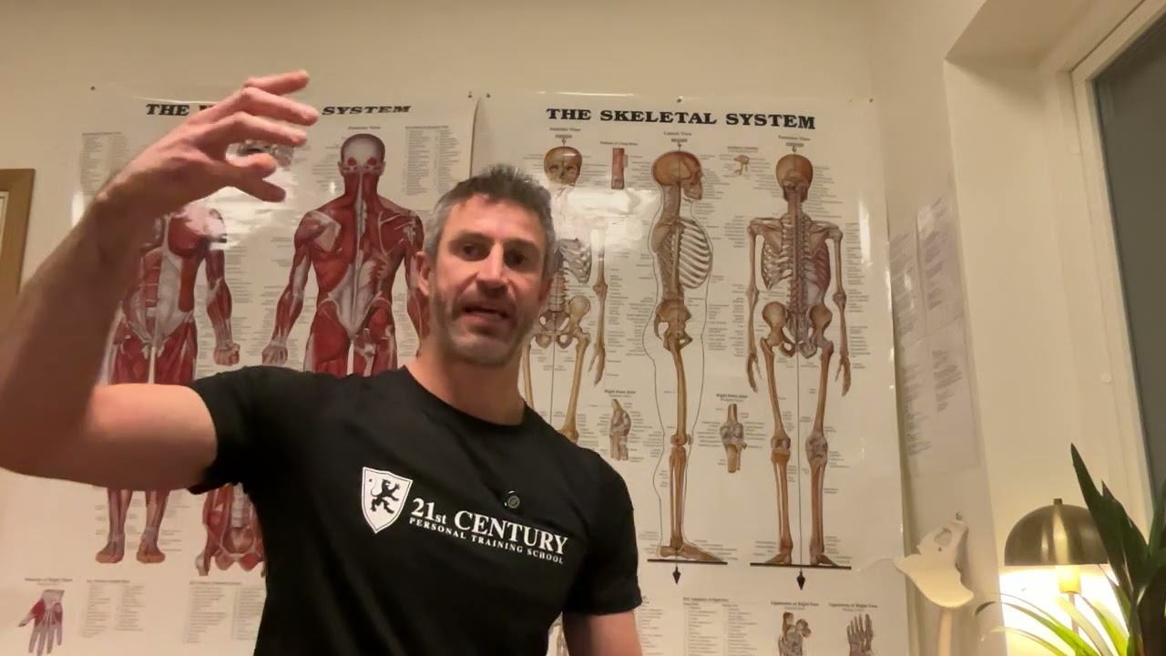 spinal column