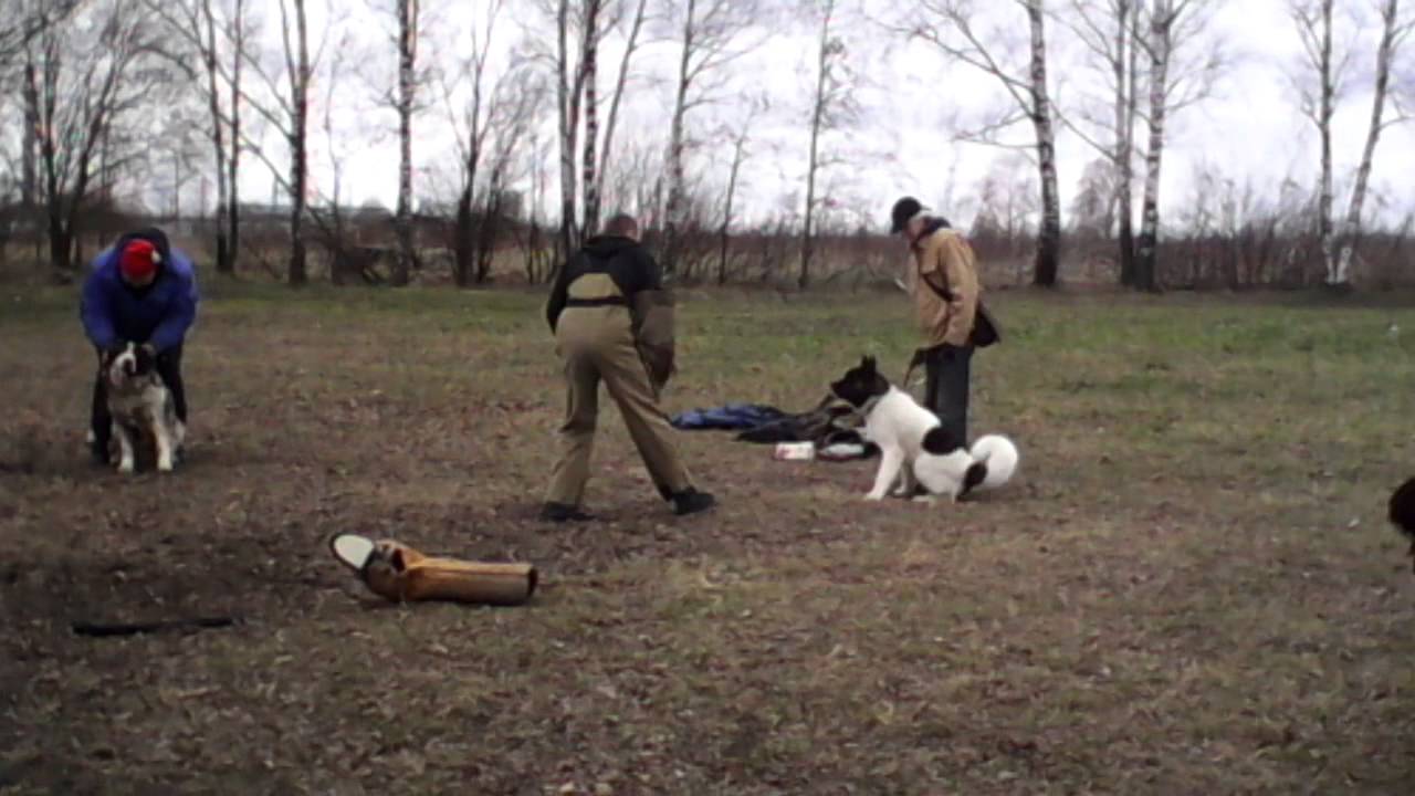 VID 20150426 121510