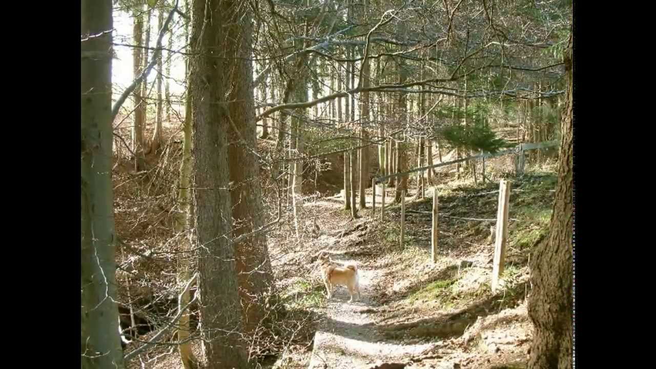 Feuersteinschlucht und Jägersteig am Auerberg