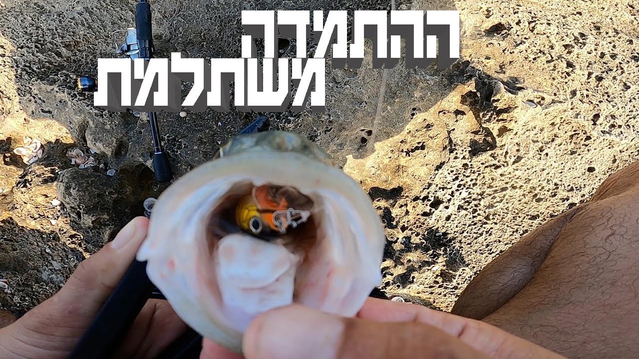 יציאת דיג ממש לפני הסגר🎣 | ברקודה, טונית, טרכונים ולברקים | fishing lite🐠 game