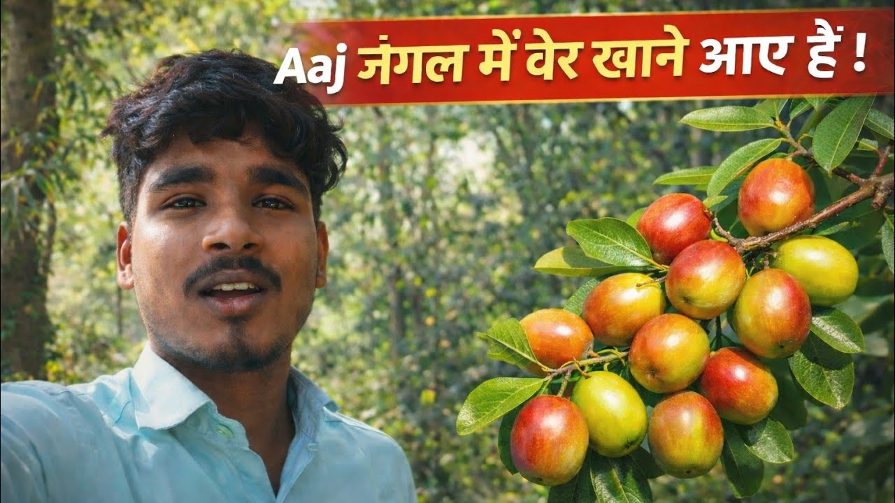 Aaj जंगल में बेर खाने आए हैं! मजा आ गया!# Fullvideo#ksvloges005🫂🙏👌#Gumne gye #jangan #subscriber 