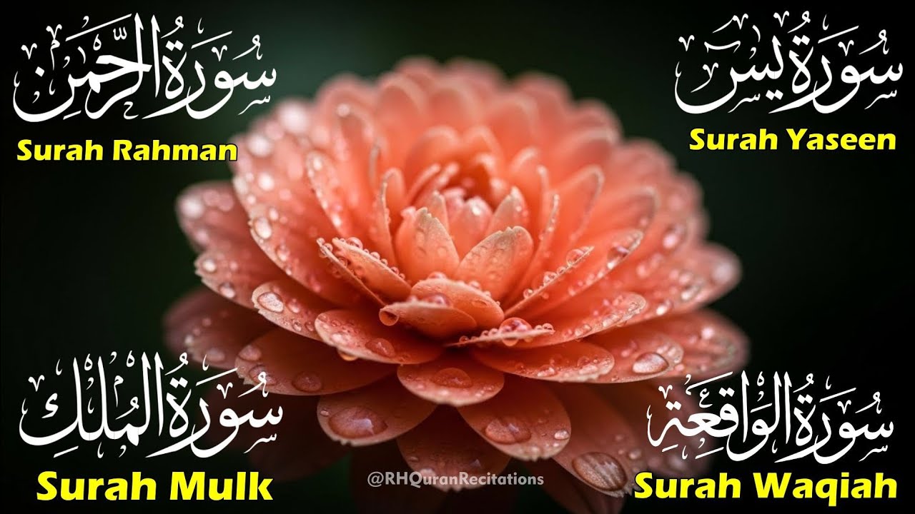 Beautiful Surah Yaseen (Yasin) |Surah Rahman | Surah Waqiah | Surah Mulk | Episode 53