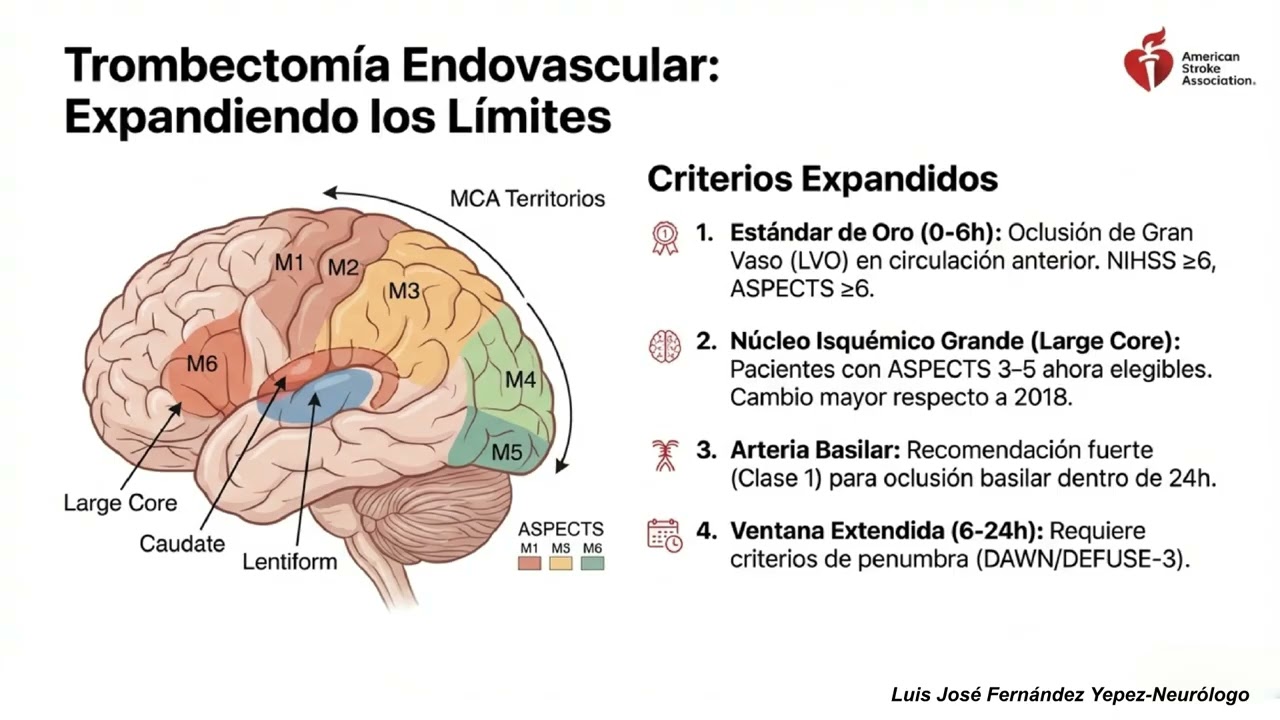 Guia Stroke 2026