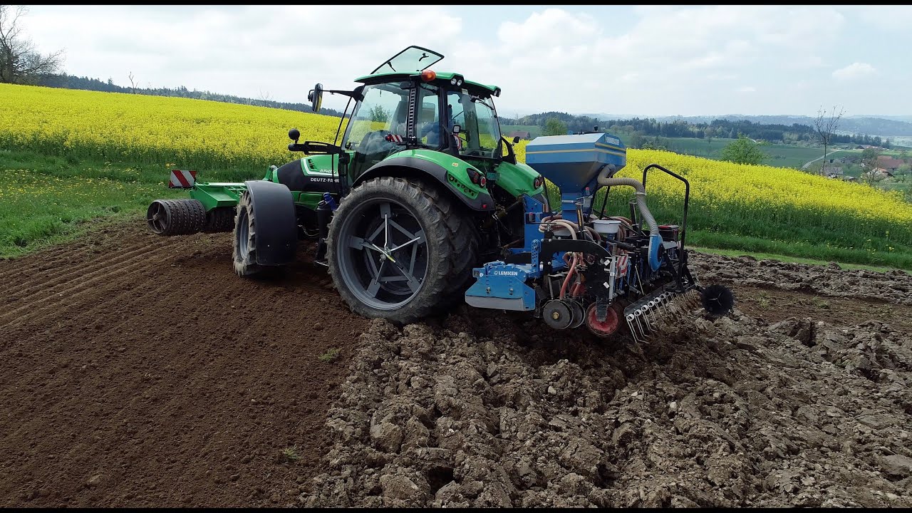 Mais 🌽🇨🇭vom Gras bis zum Mulchen