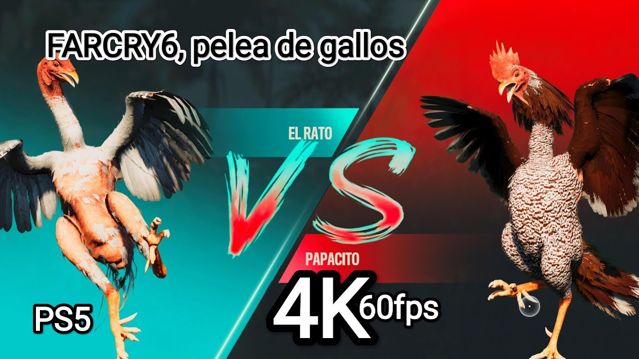 Far Cry 6 , pelea de gallos 01