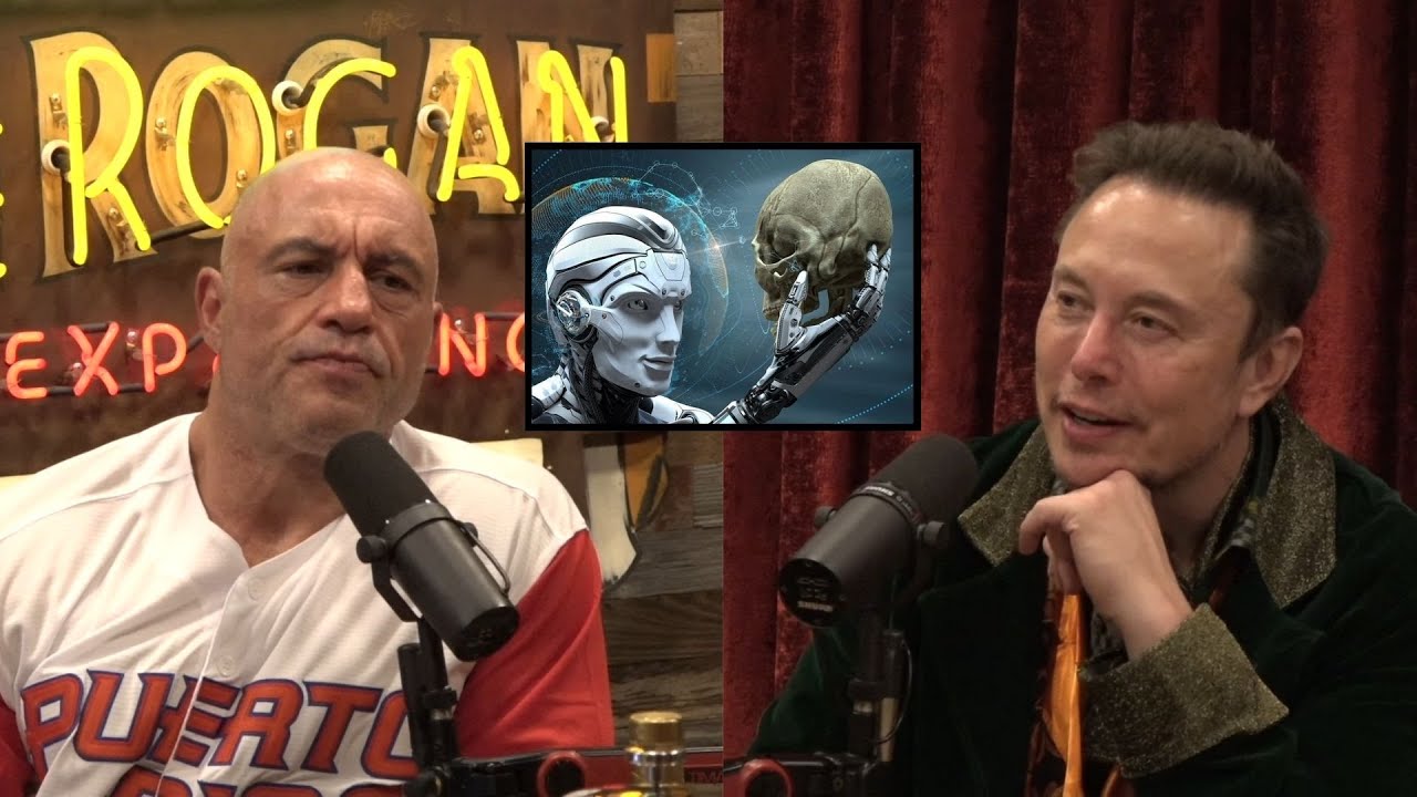 Joe Rogan & Elon Musk - 