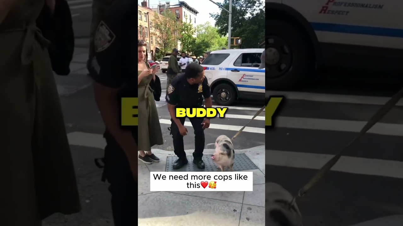 NYC Officers Stop a Man with a PIG 😂🚔