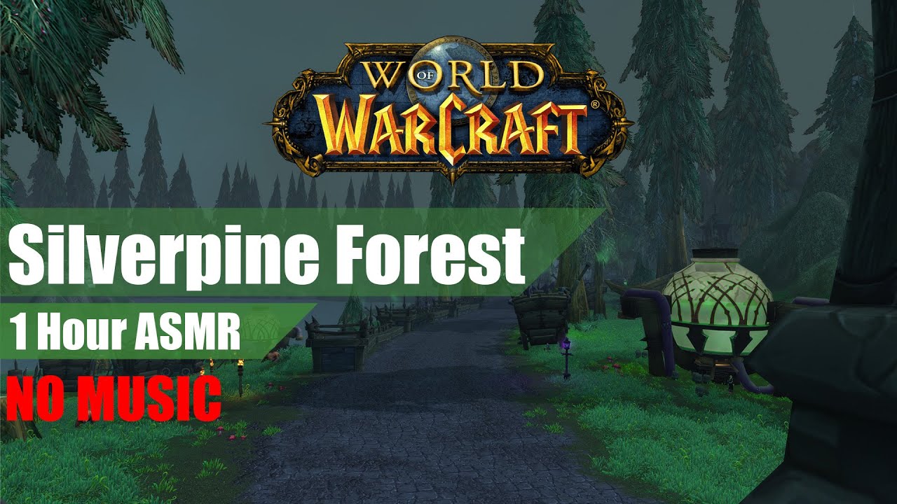 World of Warcraft - Ambience - 4K 60Fps - Silverpine Forest