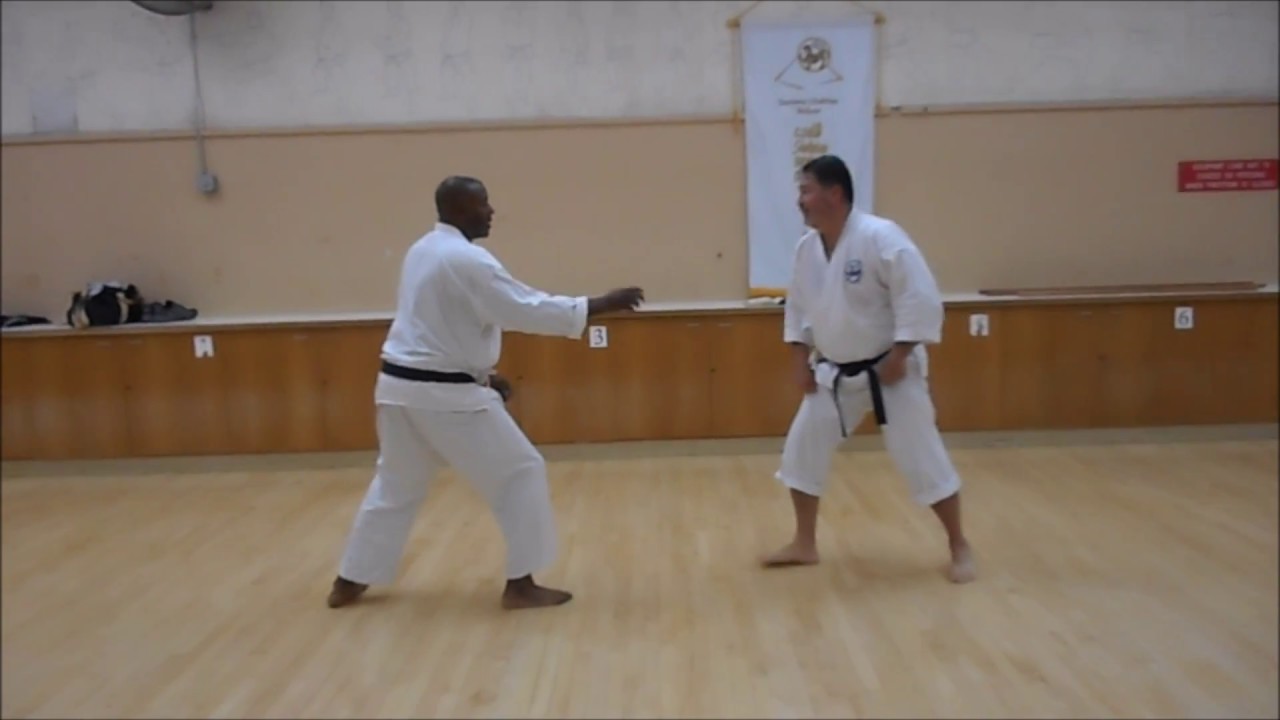Kumite drill: Go No Sen