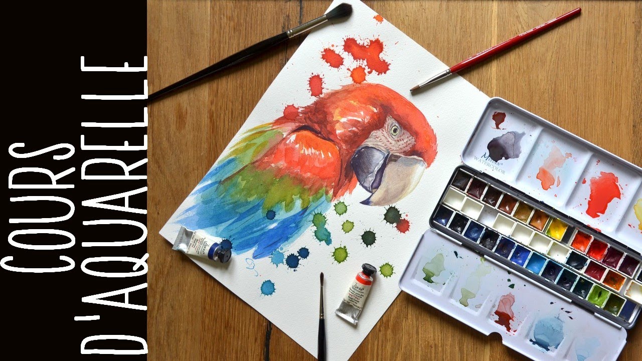 Présentation du cours d'aquarelle Perroquet