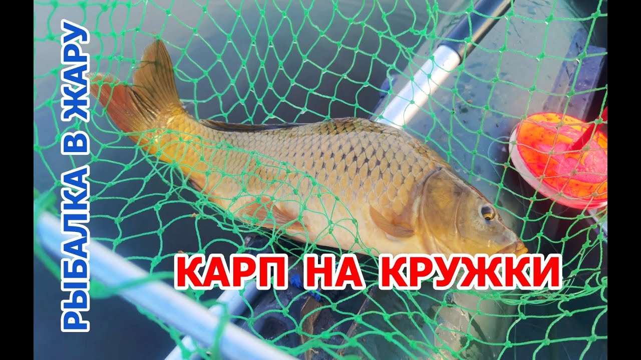 КАРП на 