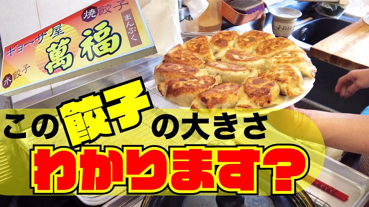 【萬福】本場中国の餃子凄かった！ #229 食堂探訪