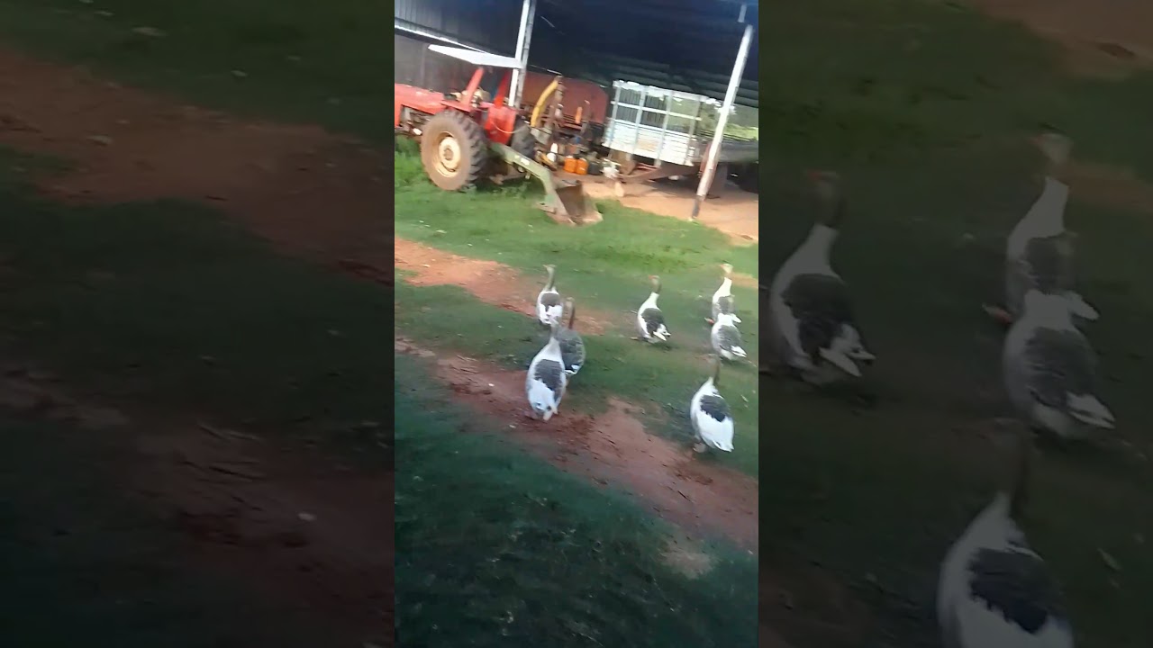 12 de janeiro de 2026