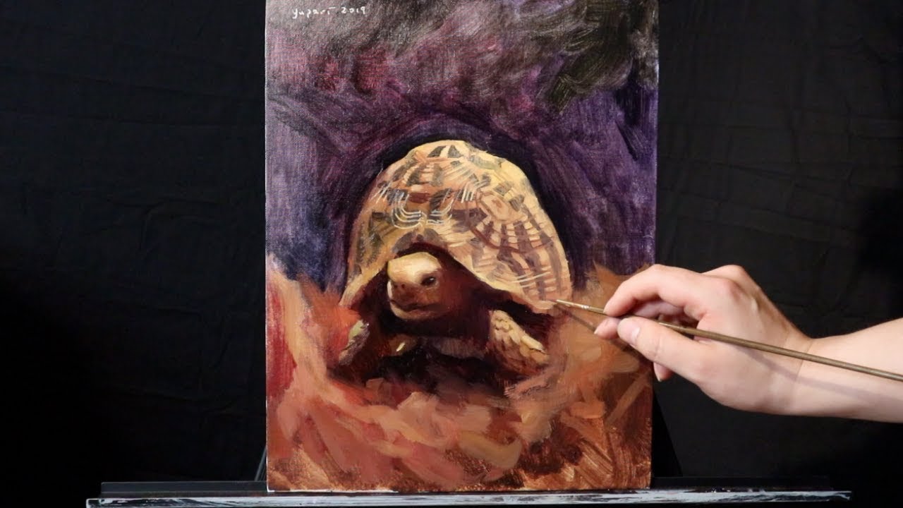 Let's PAINT a TORTOISE!!