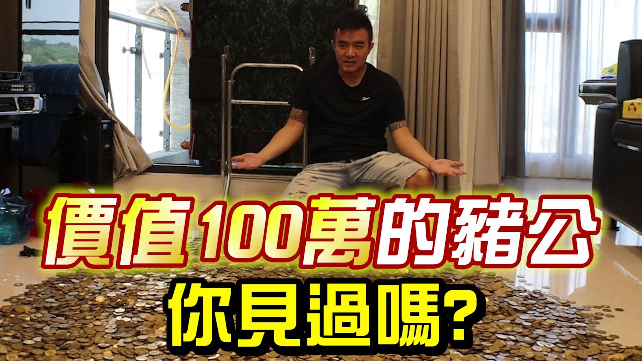 [二星兄弟]養了2年的百萬豬公你見過嗎?? 這樣存錢方式讓你成為百萬富翁!