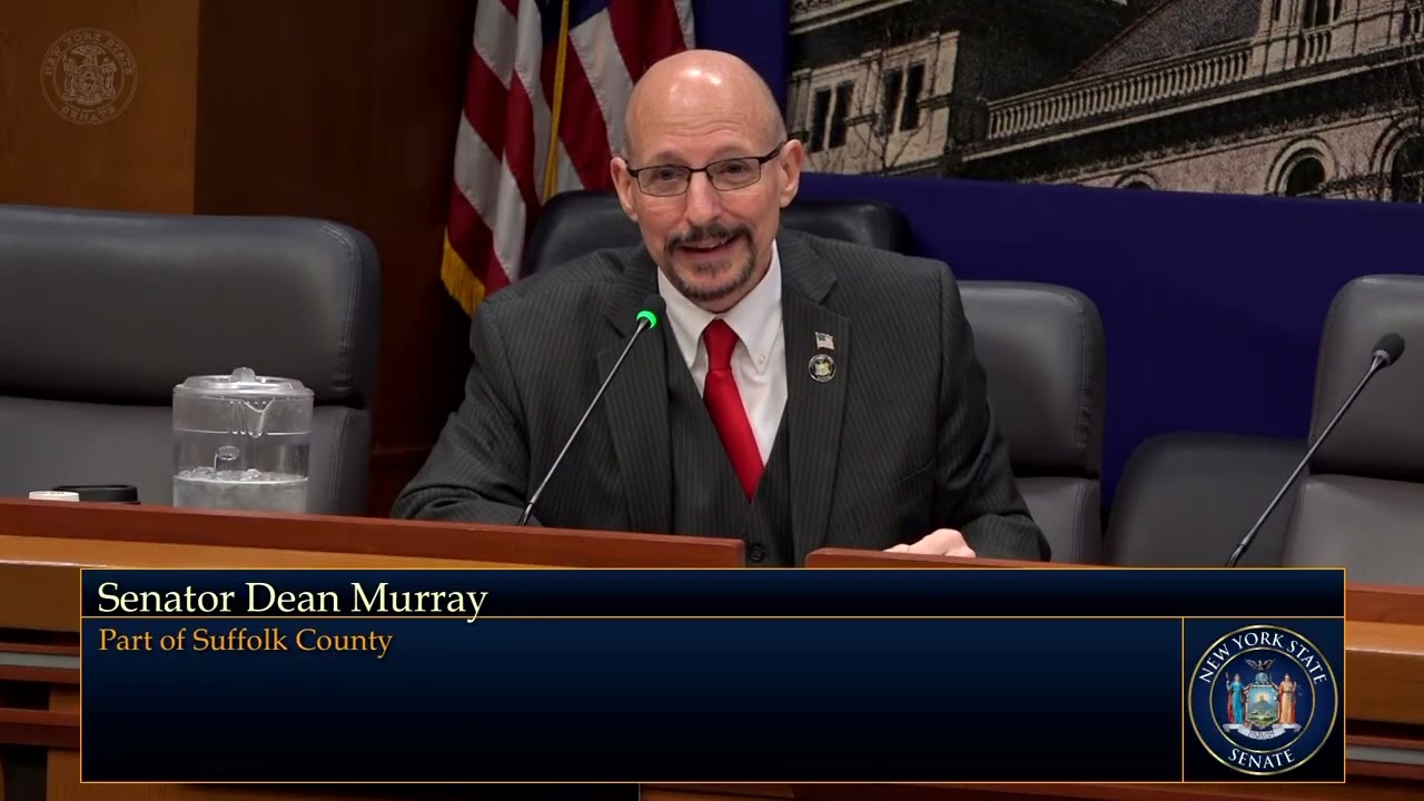 NYS Senator Dean Murray Speaks At A Codes and Consumer Protection Hearing With Kristen McManus