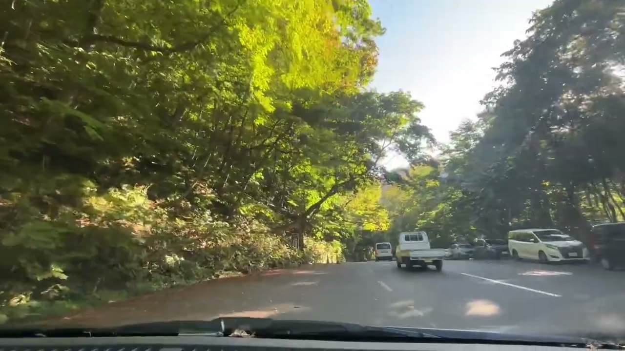 【紅葉チェック】奥入瀬渓流〜十和田湖ドライブ(2025年10月7日) #紅葉 #青森県 #奥入瀬渓流 